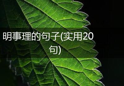 明事理的句子(实用20句)