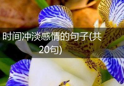 时间冲淡感情的句子(共20句)