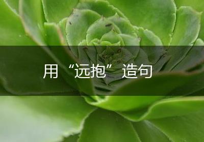 用“远抱”造句