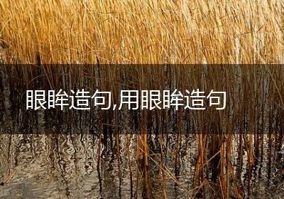 眼眸造句,用眼眸造句