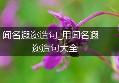 闻名遐迩造句_用闻名遐迩造句大全