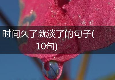 时间久了就淡了的句子(10句)