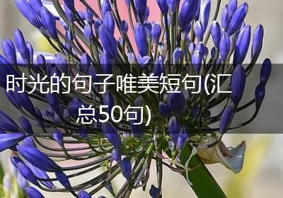 时光的句子唯美短句(汇总50句)
