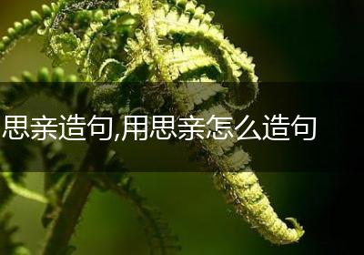 思亲造句,用思亲怎么造句