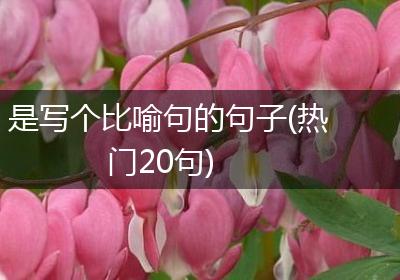是写个比喻句的句子(热门20句)