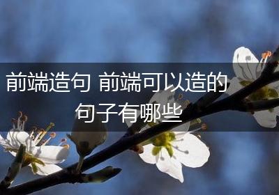 前端造句 前端可以造的句子有哪些