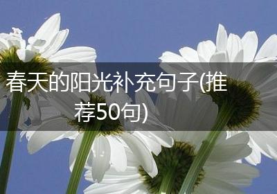 春天的阳光补充句子(推荐50句)