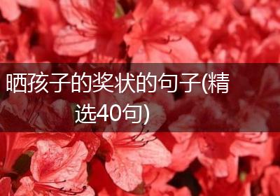 晒孩子的奖状的句子(精选40句)