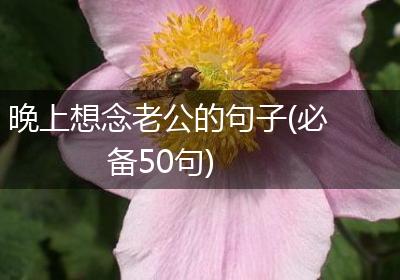 晚上想念老公的句子(必备50句)