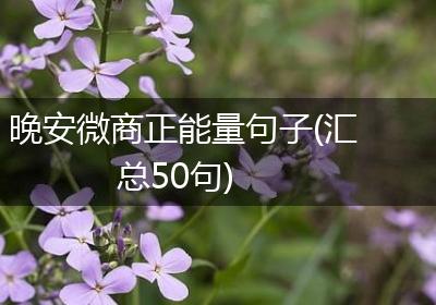 晚安微商正能量句子(汇总50句)