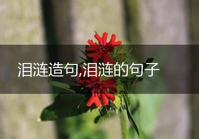 泪涟造句,泪涟的句子