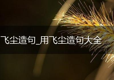 飞尘造句_用飞尘造句大全