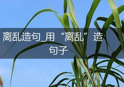 离乱造句_用“离乱”造句子