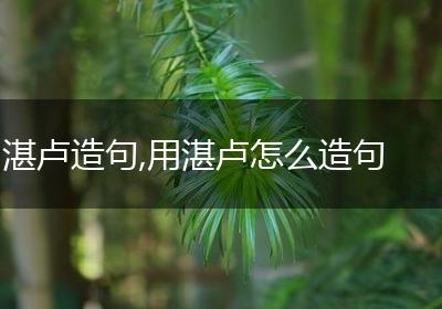 湛卢造句,用湛卢怎么造句