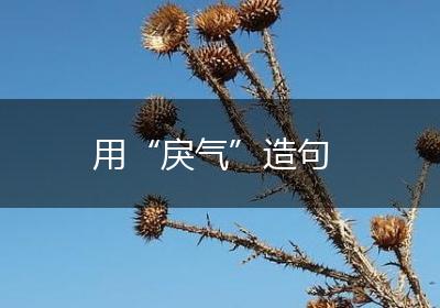 用“戾气”造句