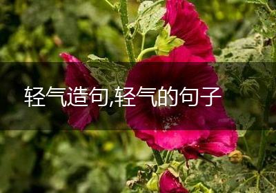 轻气造句,轻气的句子