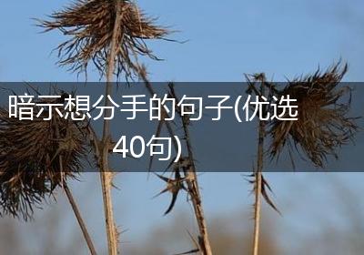 暗示想分手的句子(优选40句)