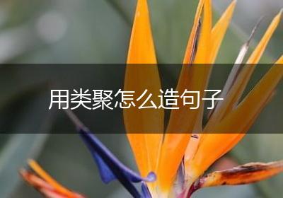 用类聚怎么造句子