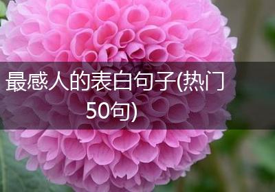 最感人的表白句子(热门50句)