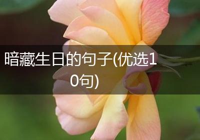 暗藏生日的句子(优选10句)