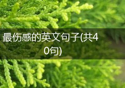最伤感的英文句子(共40句)
