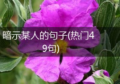 暗示某人的句子(热门49句)