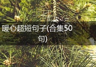 暖心超短句子(合集50句)