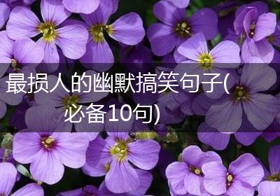 最损人的幽默搞笑句子(必备10句)