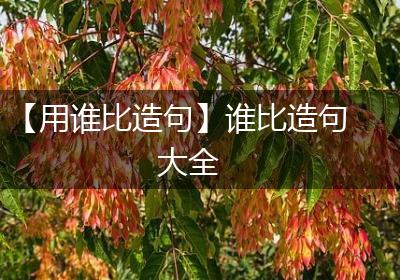 【用谁比造句】谁比造句大全