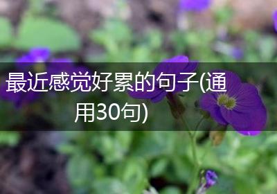 最近感觉好累的句子(通用30句)
