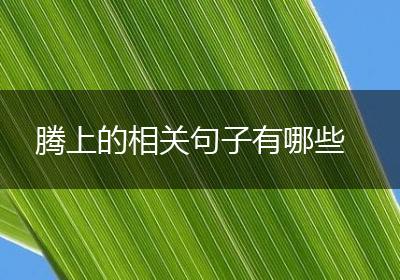 腾上的相关句子有哪些