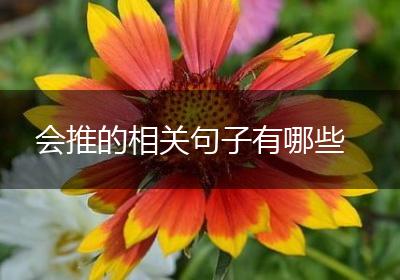 会推的相关句子有哪些