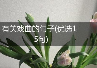 有关戏曲的句子(优选15句)