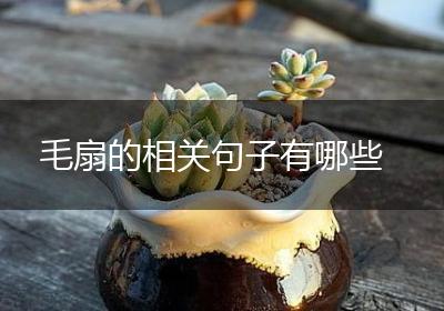 毛扇的相关句子有哪些