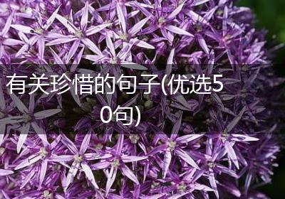 有关珍惜的句子(优选50句)