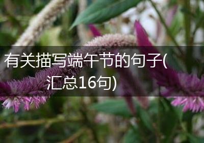 有关描写端午节的句子(汇总16句)