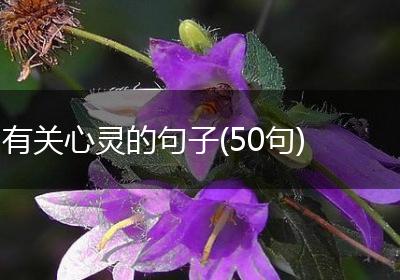 有关心灵的句子(50句)