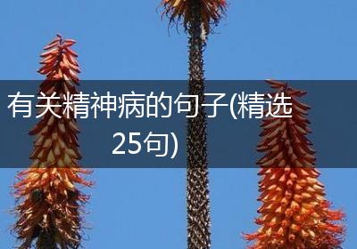 有关精神病的句子(精选25句)