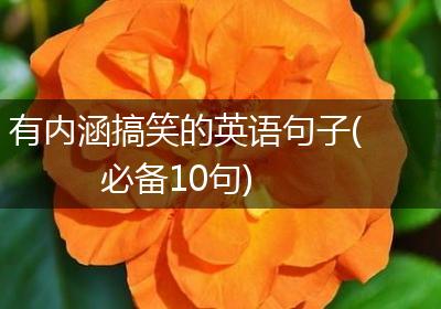 有内涵搞笑的英语句子(必备10句)
