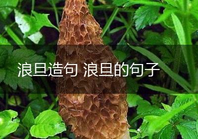 浪旦造句 浪旦的句子