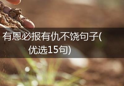 有恩必报有仇不饶句子(优选15句)