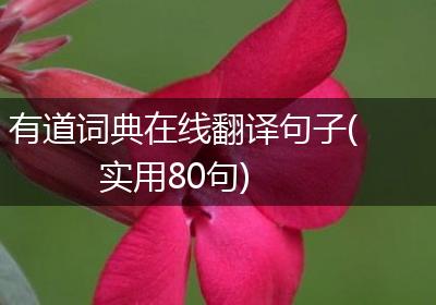 有道词典在线翻译句子(实用80句)