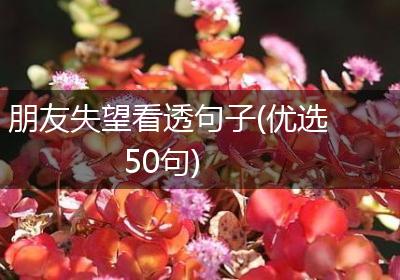 朋友失望看透句子(优选50句)