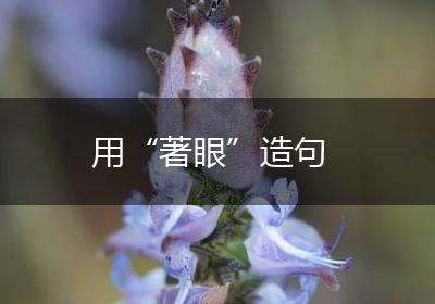 用“著眼”造句