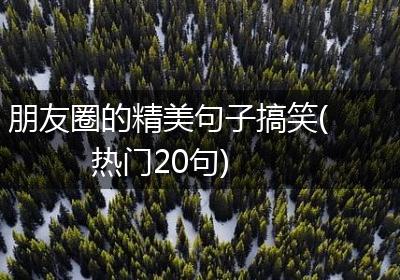 朋友圈的精美句子搞笑(热门20句)