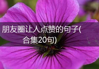 朋友圈让人点赞的句子(合集20句)