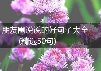 朋友圈说说的好句子大全(精选50句)