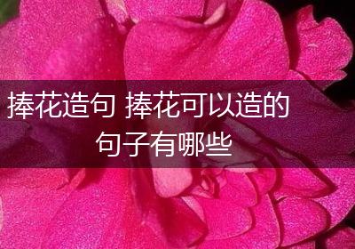 捧花造句 捧花可以造的句子有哪些