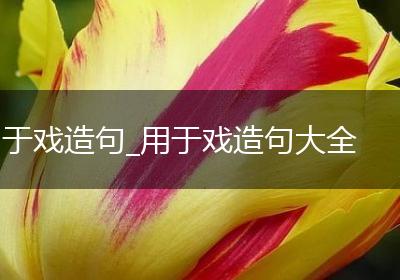 于戏造句_用于戏造句大全