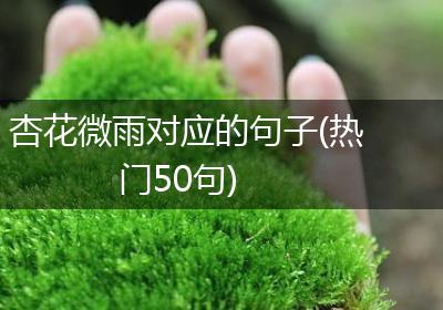 杏花微雨对应的句子(热门50句)